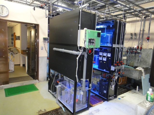 公益財団法人 黒潮生物研究所